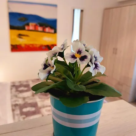 Casetta Sul Melo アパート バーリ